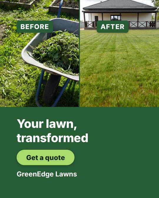 Comparison card: a split before-and-after photo panel with a brand-green card and CTA below